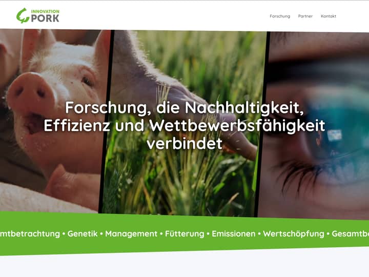 Innovation Pork Project